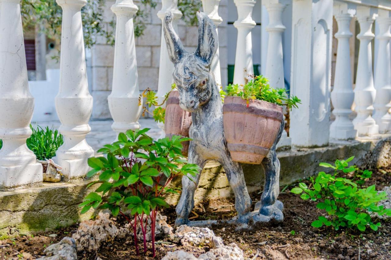 Villa Kosa ブレラ 部屋 写真