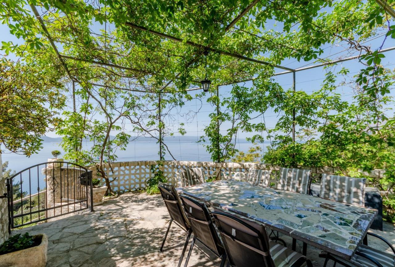 Villa Kosa ブレラ 部屋 写真