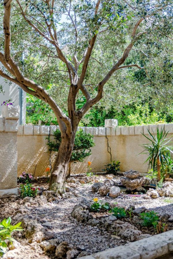 Villa Kosa ブレラ 部屋 写真