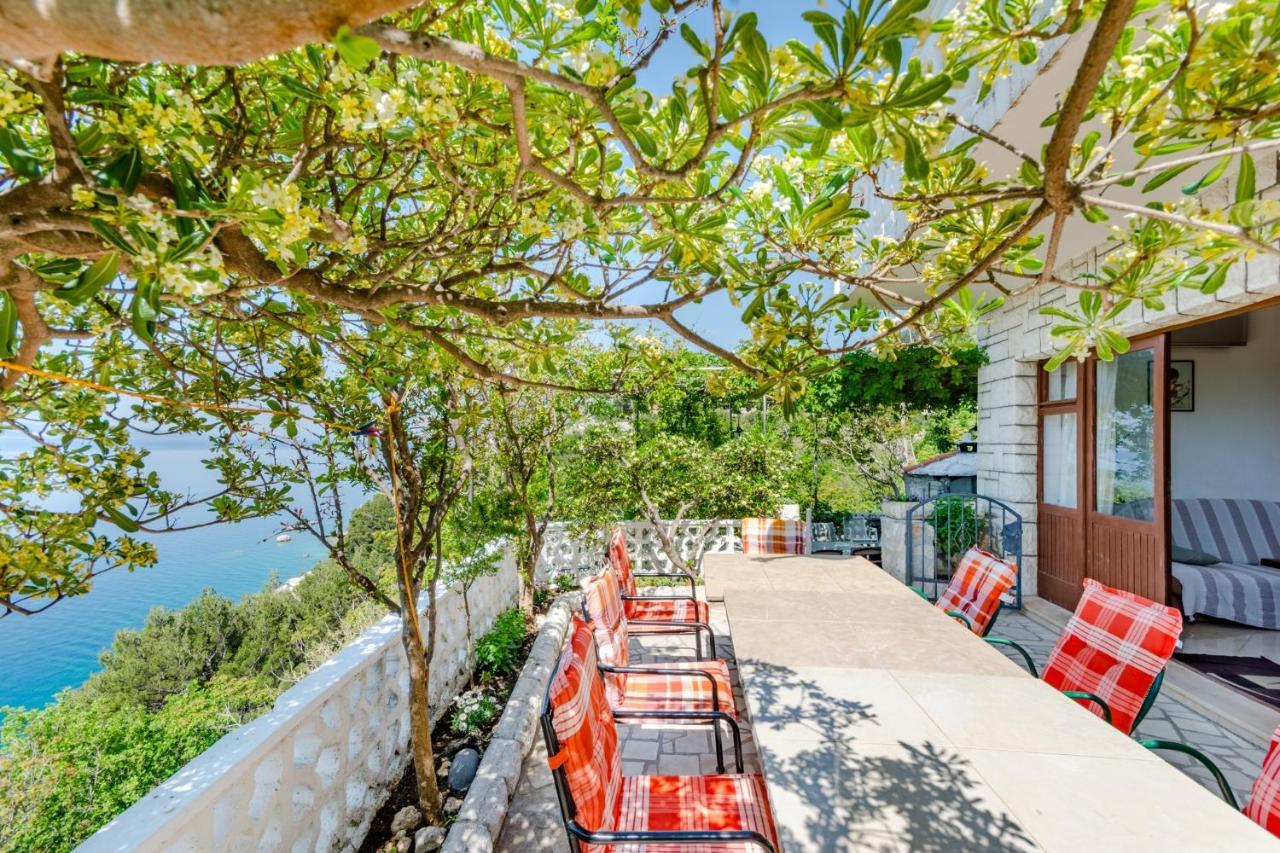 Villa Kosa ブレラ 部屋 写真